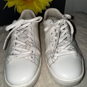 Gucci Ace Sneaker size 36 598527